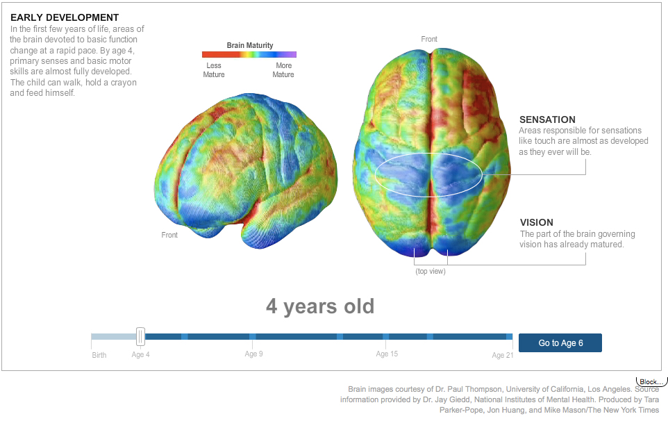 Brain-age-4-picture