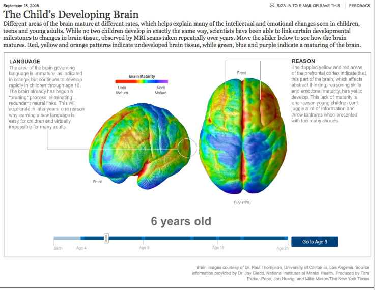 The Growth and Development of a Teenager’s Brain